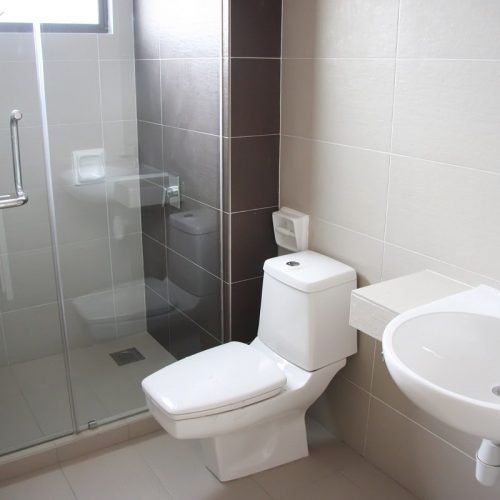toilette-salle-de-bain toilette-salle-de-bain